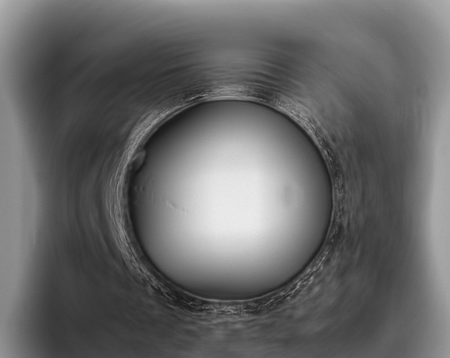 X0000095890289200801181231