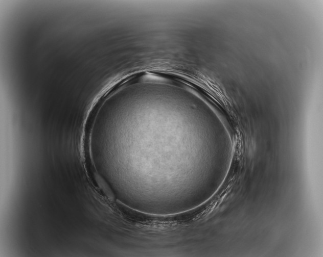 X0000095890292200801181231