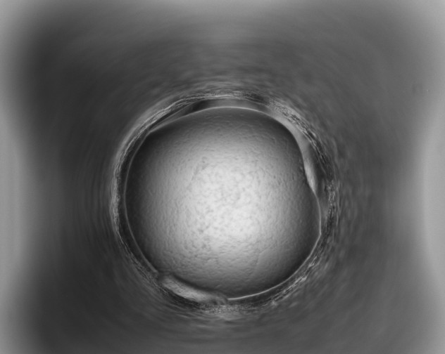 X0000095890293200801181231