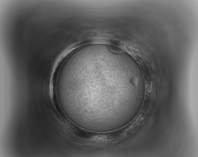 X0000095890294200801181231