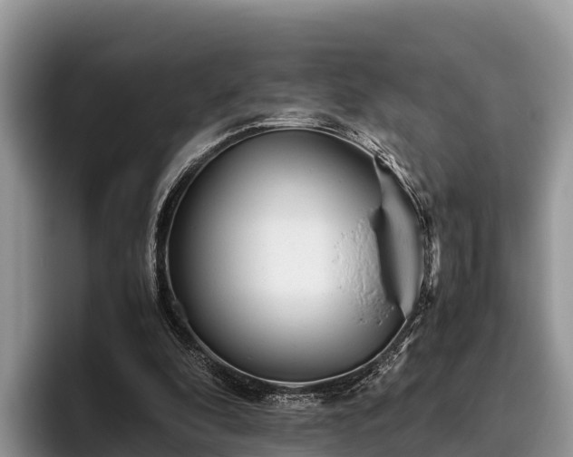 X0000095890296200801181231