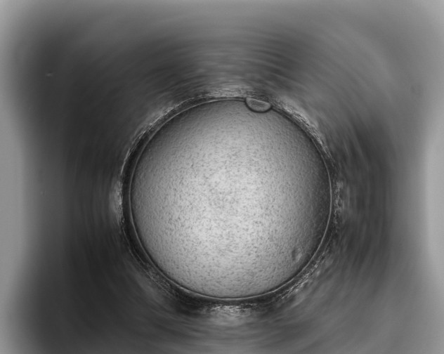 X0000095890298200801181231