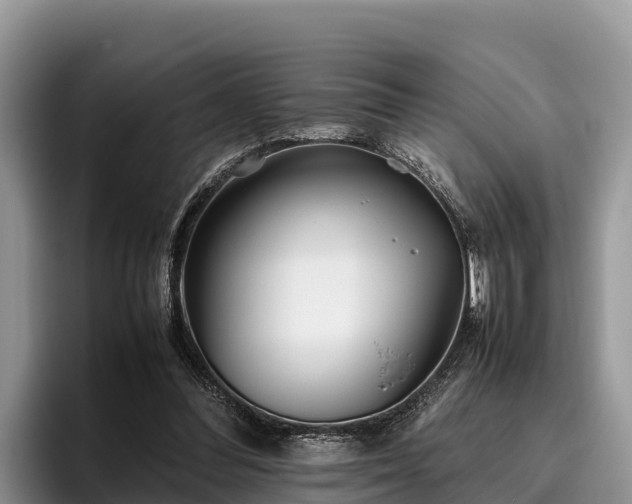 X0000095890300200801181231