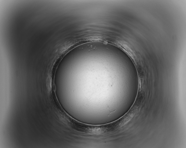 X0000095890301200801181231