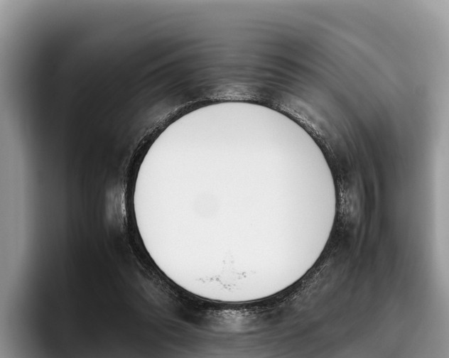 X0000095890302200801181231