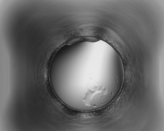 X0000095890305200801181231