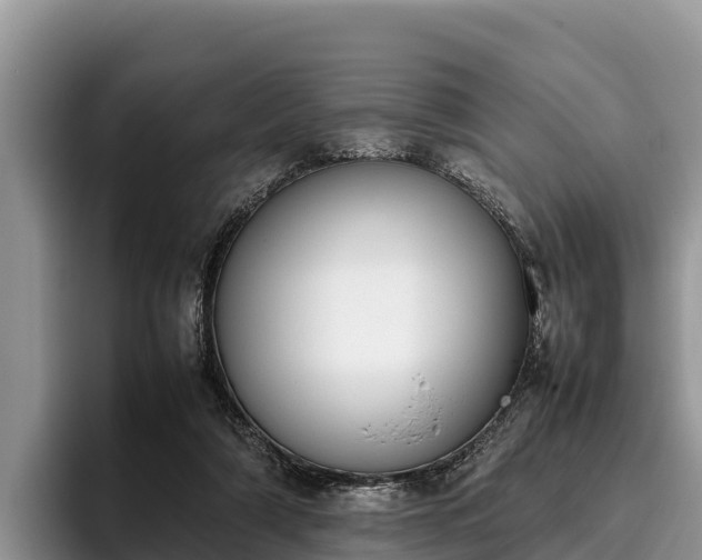 X0000095890306200801181231