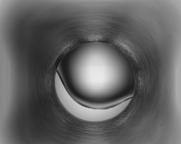 X0000095890308200801181231