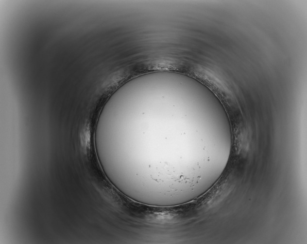 X0000095890310200801181231