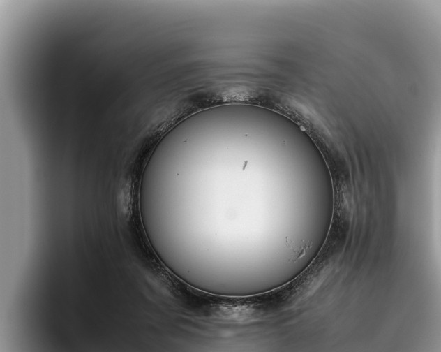 X0000095890311200801181231