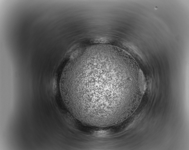 X0000095890312200801181231