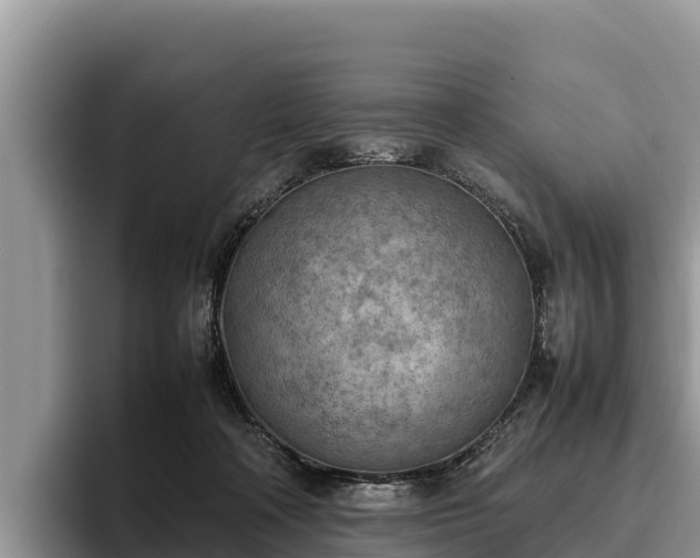 X0000095890314200801181231