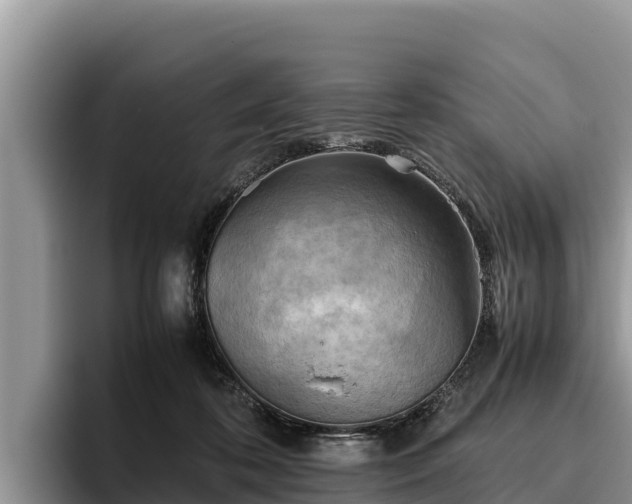 X0000095890316200801181231