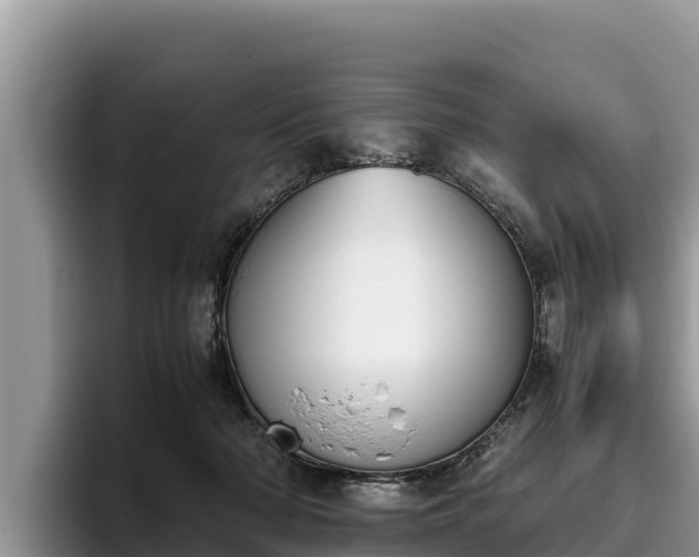 X0000095890318200801181231