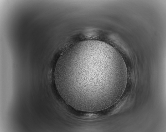 X0000095890319200801181231