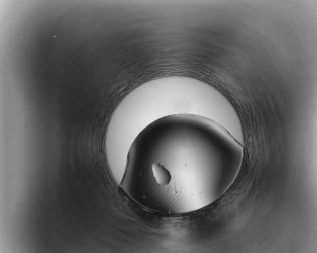 X0000095890320200801181231