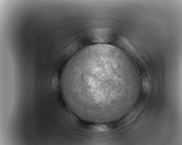 X0000095890322200801181231