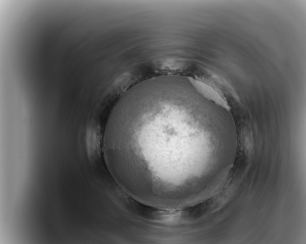 X0000095890328200801181231
