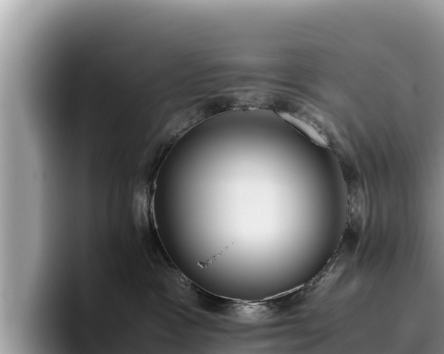 X0000095890333200801181231