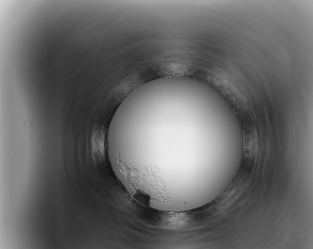 X0000095890334200801181231