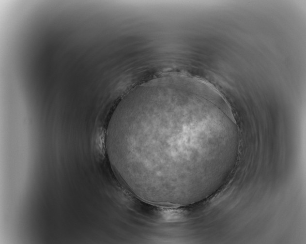 X0000095890336200801181231