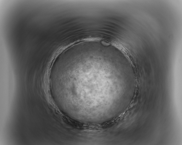 X0000095890337200801181230