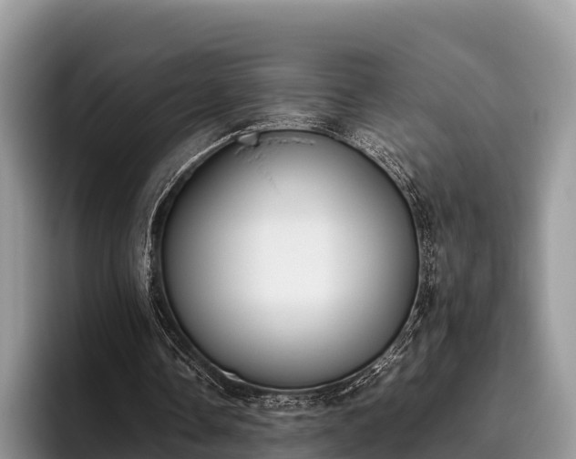 X0000095890338200801181230