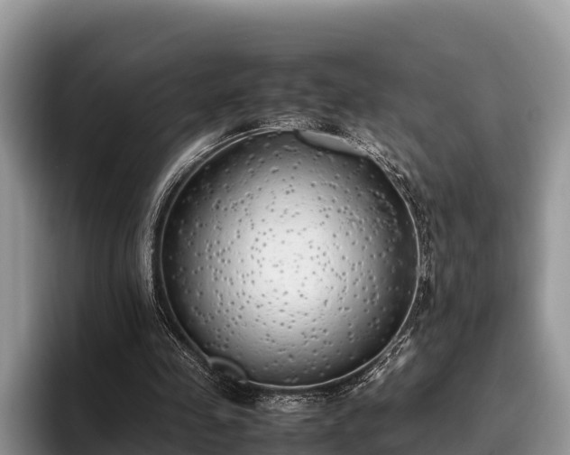 X0000095890341200801181230