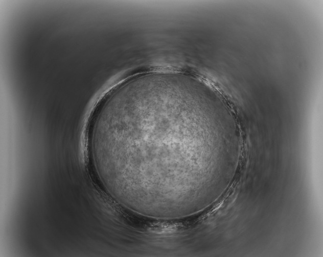 X0000095890343200801181230