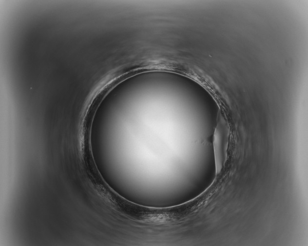 X0000095890344200801181230