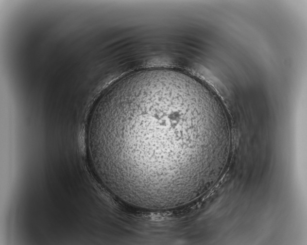 X0000095890345200801181230