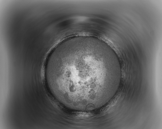 X0000095890347200801181230