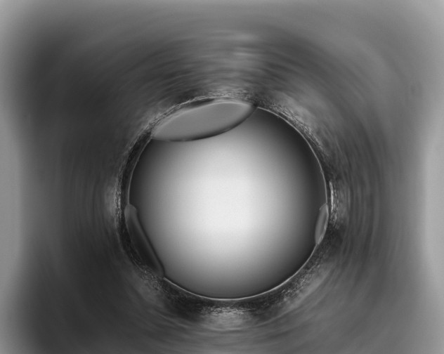 X0000095890348200801181230