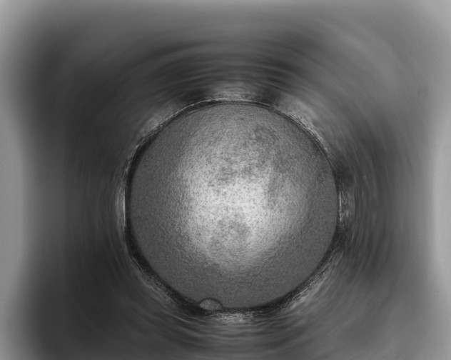 X0000095890349200801181230