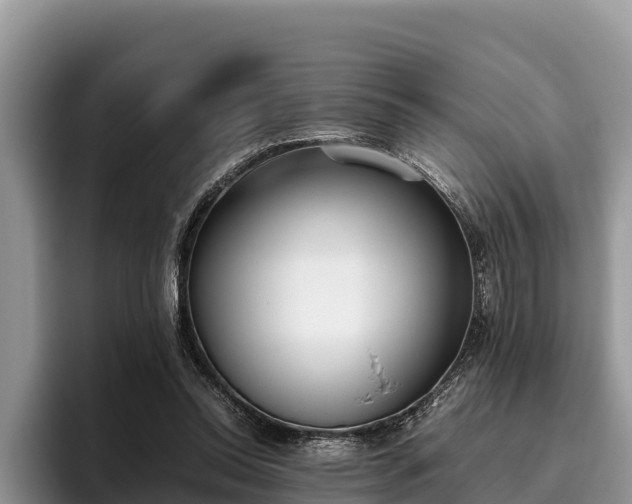 X0000095890350200801181230