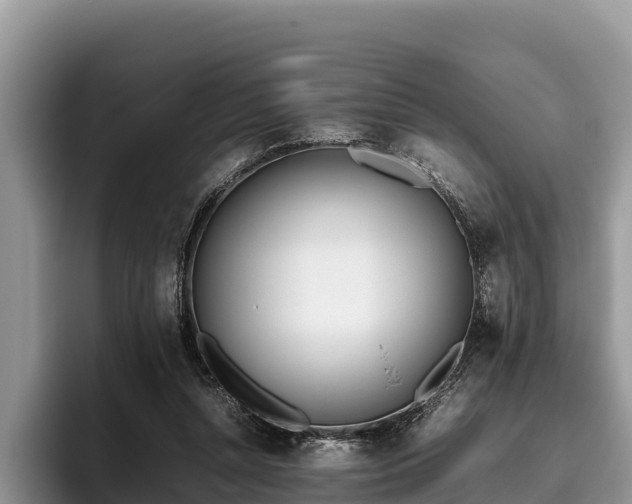 X0000095890352200801181230