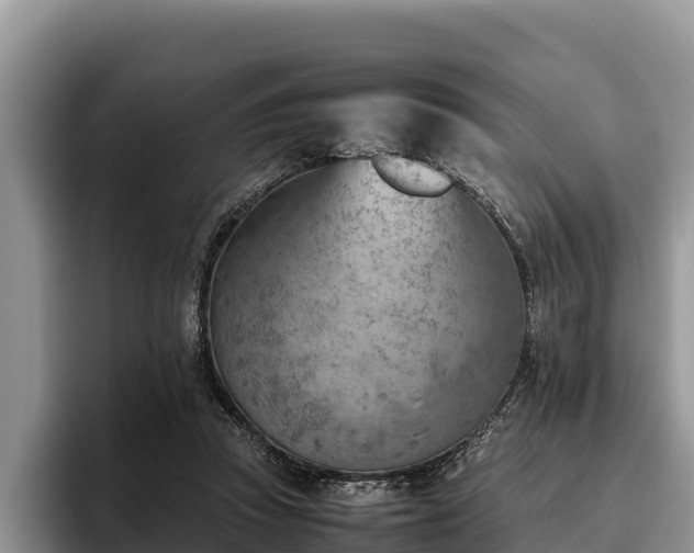 X0000095890353200801181230