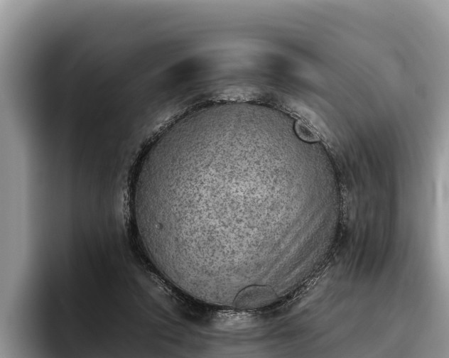 X0000095890354200801181230