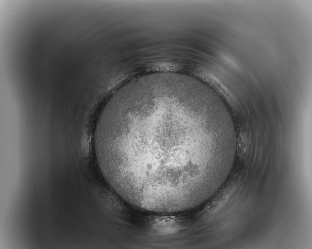 X0000095890355200801181230