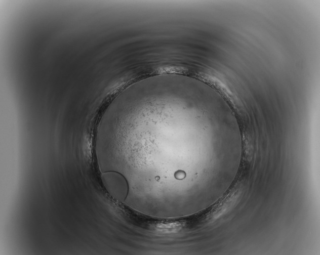 X0000095890357200801181230