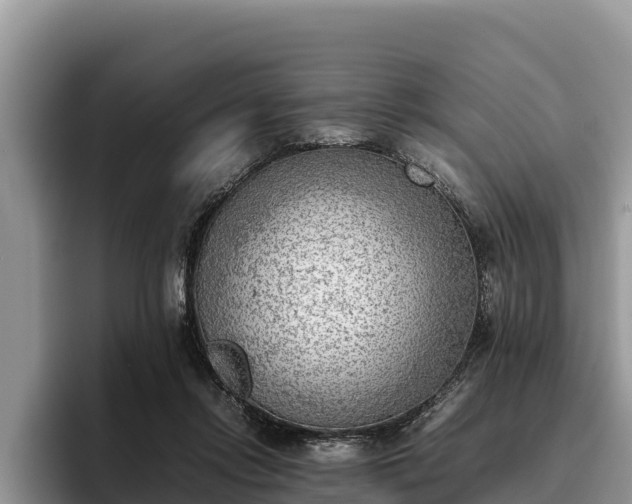 X0000095890358200801181230