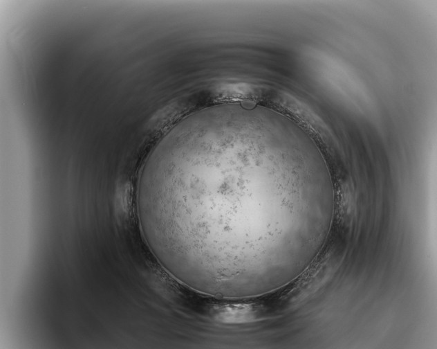 X0000095890361200801181230