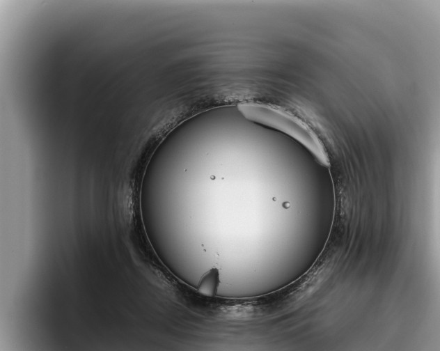 X0000095890362200801181230
