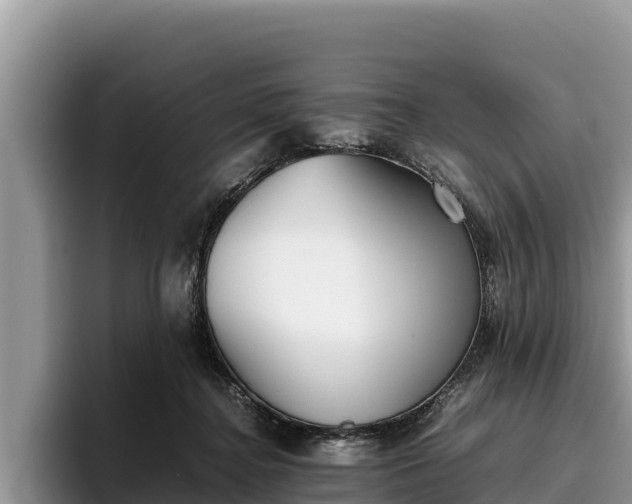 X0000095890364200801181230
