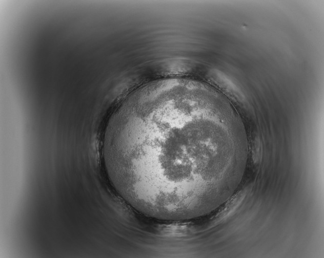 X0000095890366200801181230