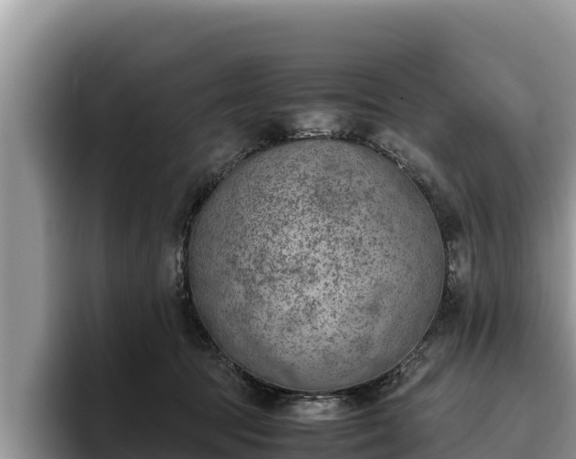X0000095890369200801181230