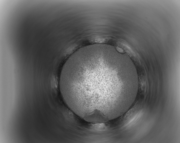 X0000095890374200801181230