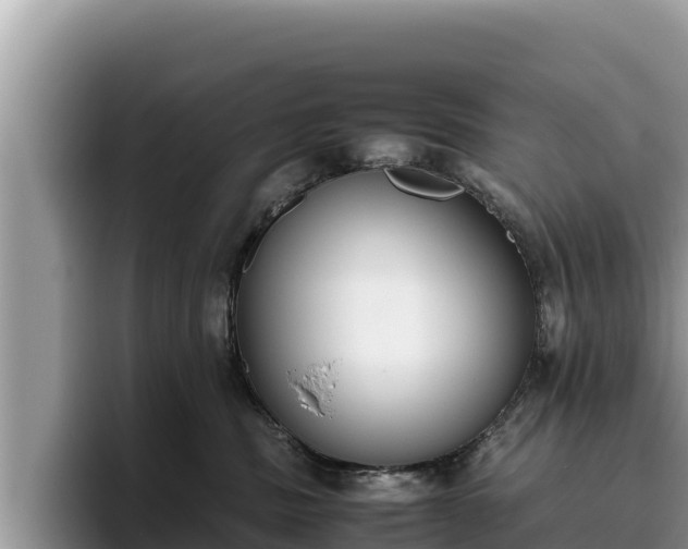 X0000095890379200801181231