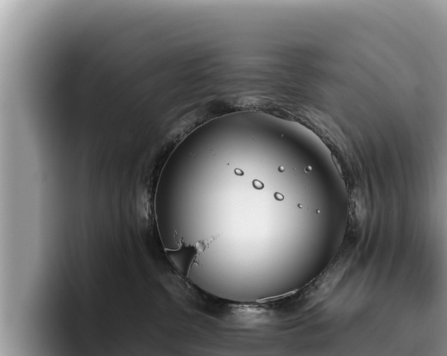 X0000095890380200801181231