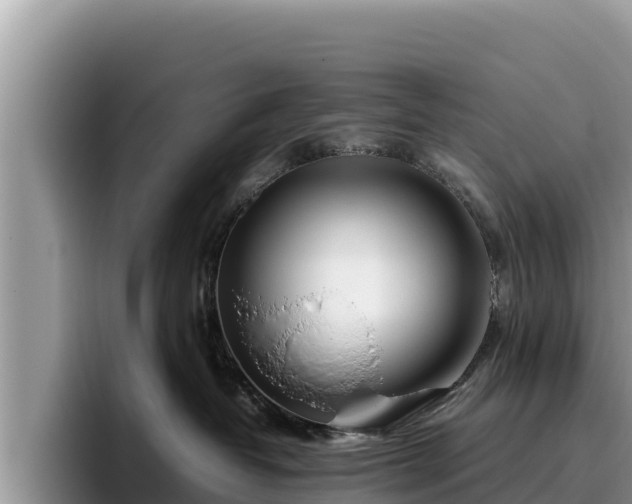 X0000095890382200801181231